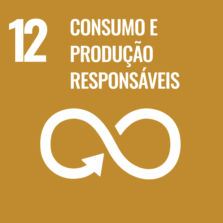 Objetivo de Desenvolvimento Sustentável 12 - Consumo e Produção Responsáveis