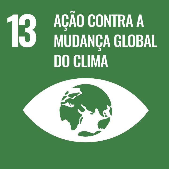 Objetivo de Desenvolvimento Sustentável 13 - Ação contra a Mudança Global do Clima