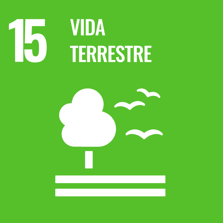 Objetivo de Desenvolvimento Sustentável 15 - Vida Terrestre