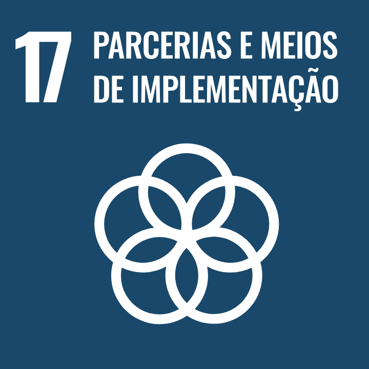 Objetivo de Desenvolvimento Sustentável 17 - Parcerias e Meios de Implementação